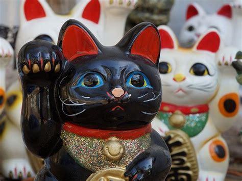 Feng Shui tips for a fortune.